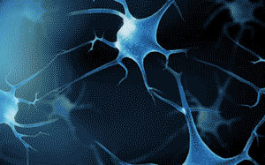 1782287726906390.gif